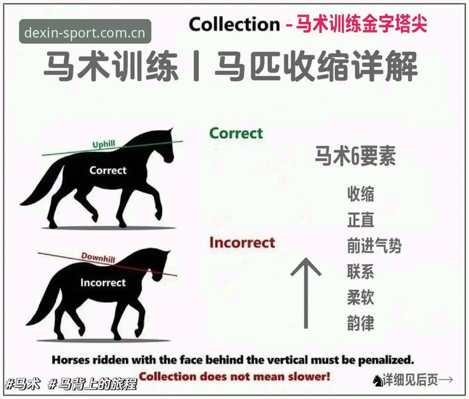 德信体育平台独家解读：贝纳蒂亚马赛管理实战操作教程