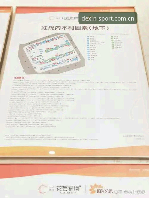 德信体育平台注册登录与赛事数据追踪完整指南